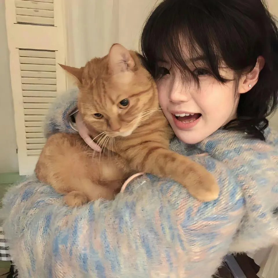 闪婚夫妇掉马了